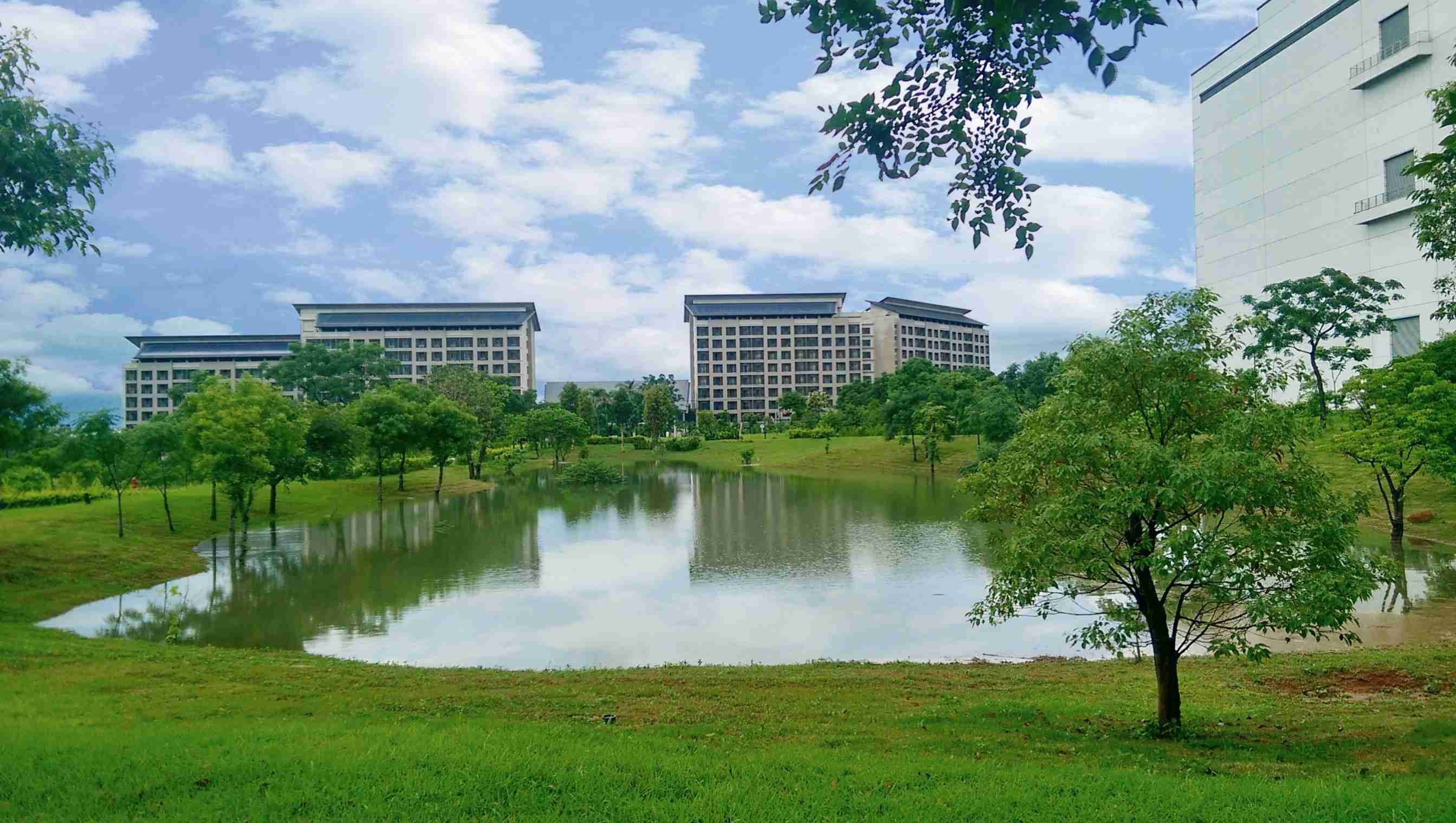 传奇国际响应国际倡议生物多样性趋势，，，，首次发布TNFD自然相关财务揭露报告书，，，擘划及开展传奇国际生物多样性政策之承诺，，，，逐步迈向与自然和谐共生